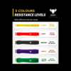 GOAT – Ultimate Resistance Bands Set: Colours