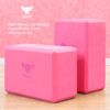 GOAT - Premium Yoga Blocks Duo: Lightweight